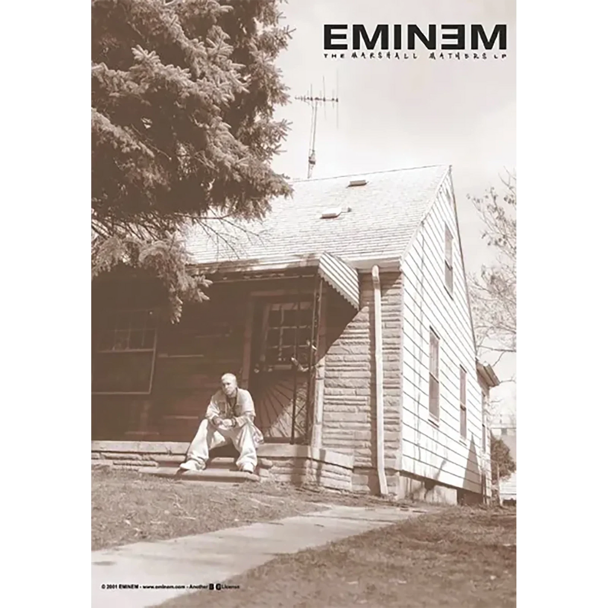 Drapeau Eminem - The Marshall Mathers