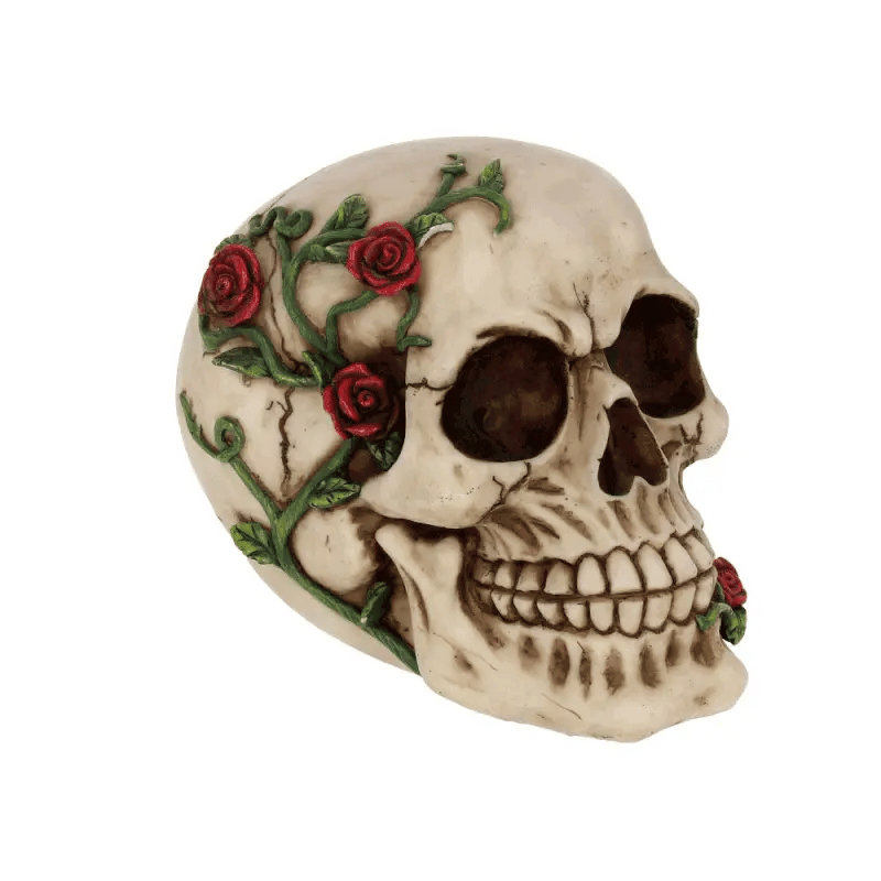 Crâne décoratif "Rose From Beyond" - vue à 360° | Decorative skull "Rose From Beyond" - 360° view