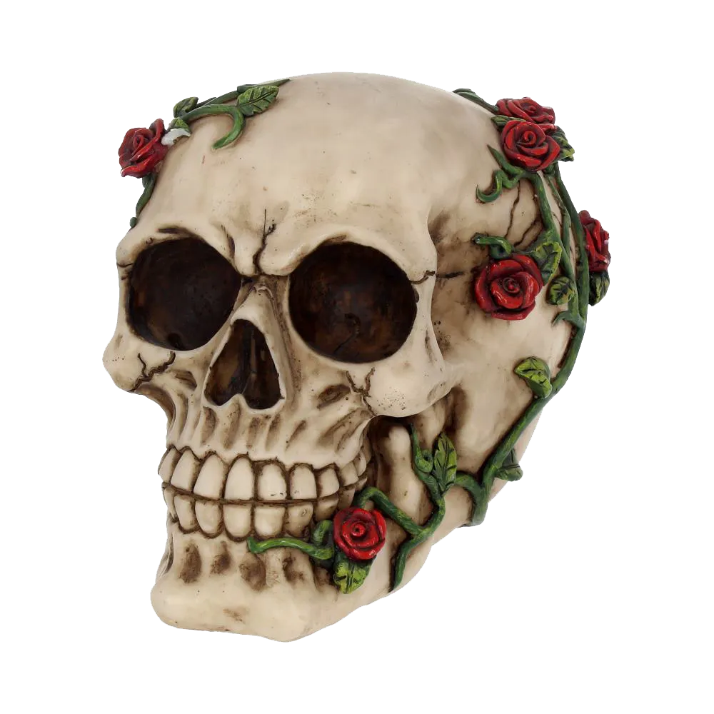 Crâne “Rose From Beyond” – vue trois quarts avant montrant les détails des roses sculptées