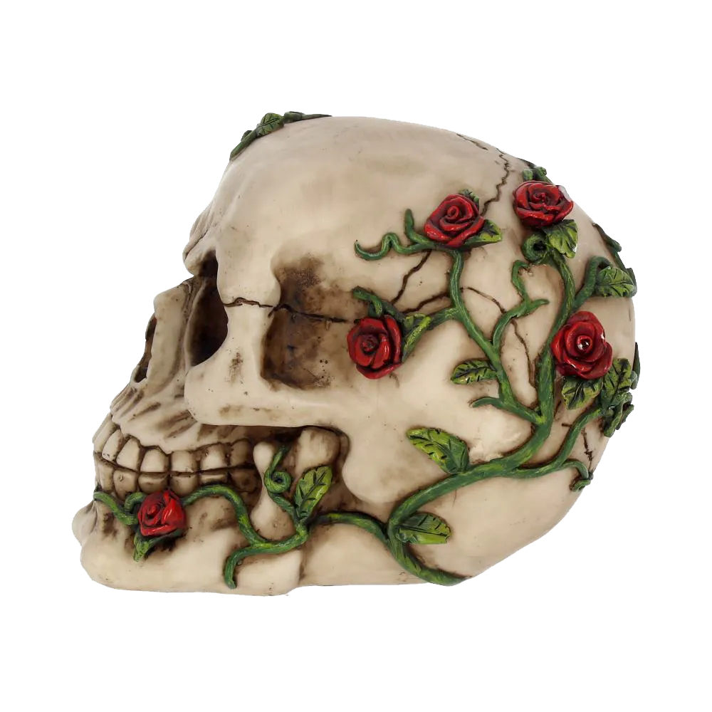 Crâne décoratif Nemesis Now – vue de profil avec roses et feuillage grimpant sur le crâne
