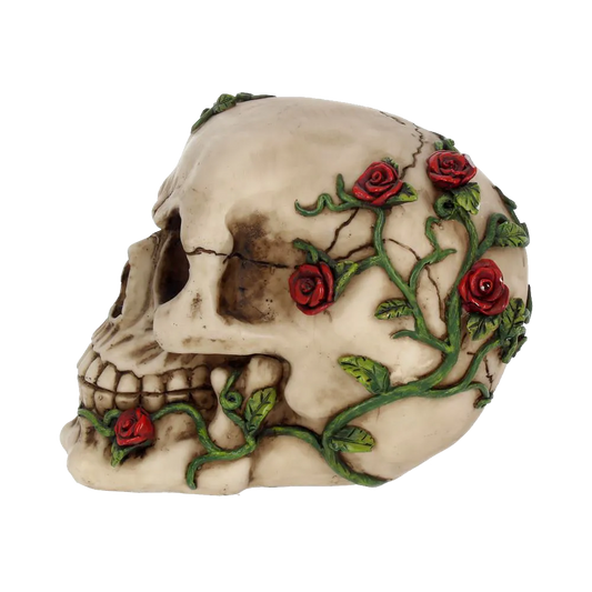 Crâne décoratif Nemesis Now – vue de profil avec roses et feuillage grimpant sur le crâne