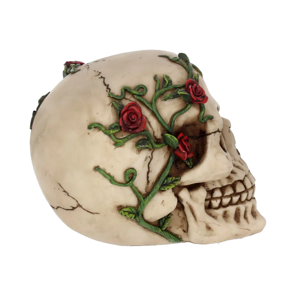 Crâne Nemesis Now “Rose From Beyond” – profil droit avec détails de texture et teinte os vieilli