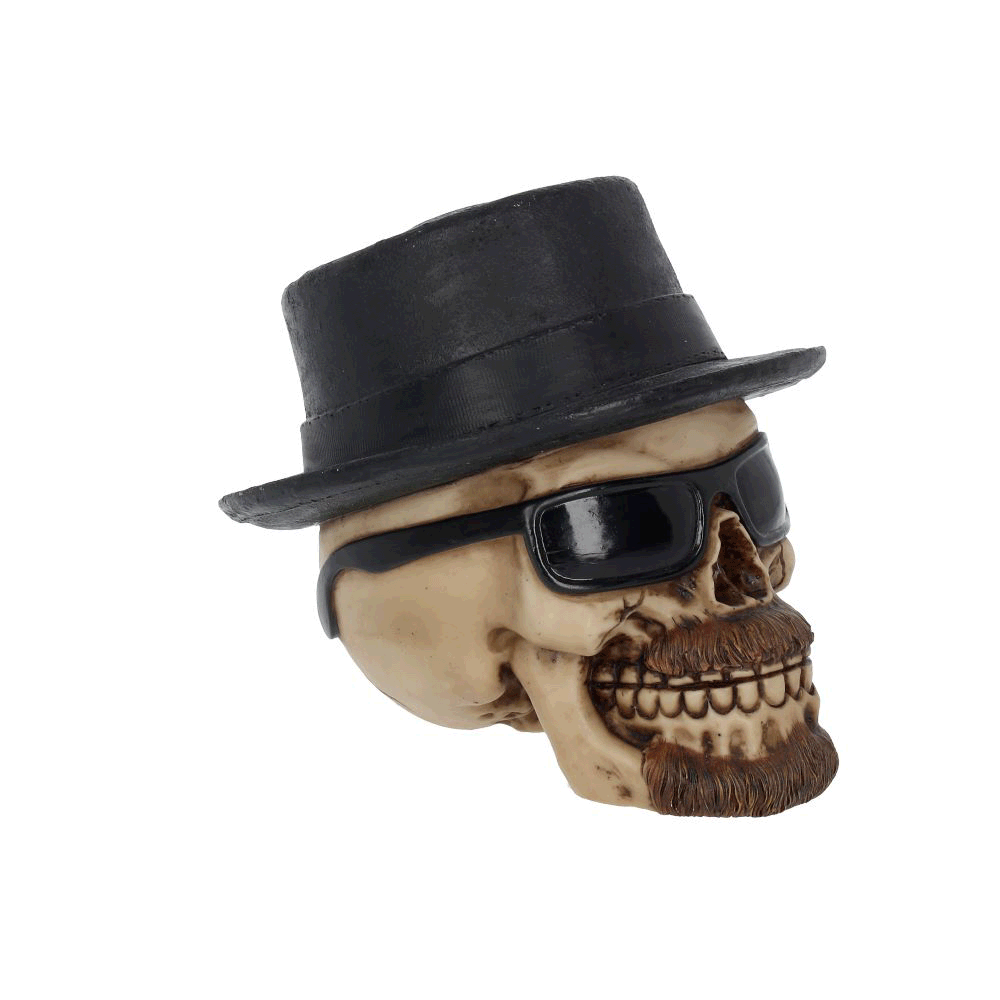 Crâne Badass complet avec barbe et lunettes - vue 360°