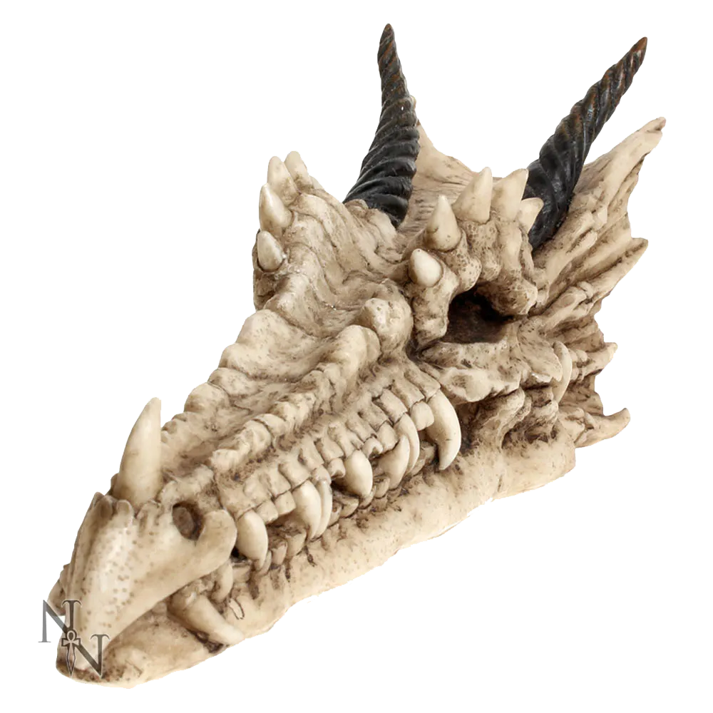 Crâne de dragon Draco Nemesis Now porte-encens en résine