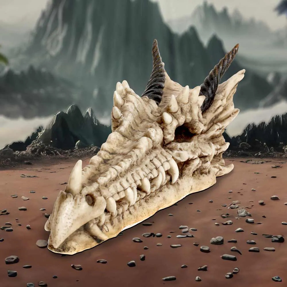 Crâne de dragon Draco exposé sur décor montagneux