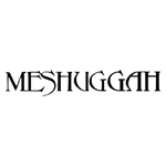Meshuggah