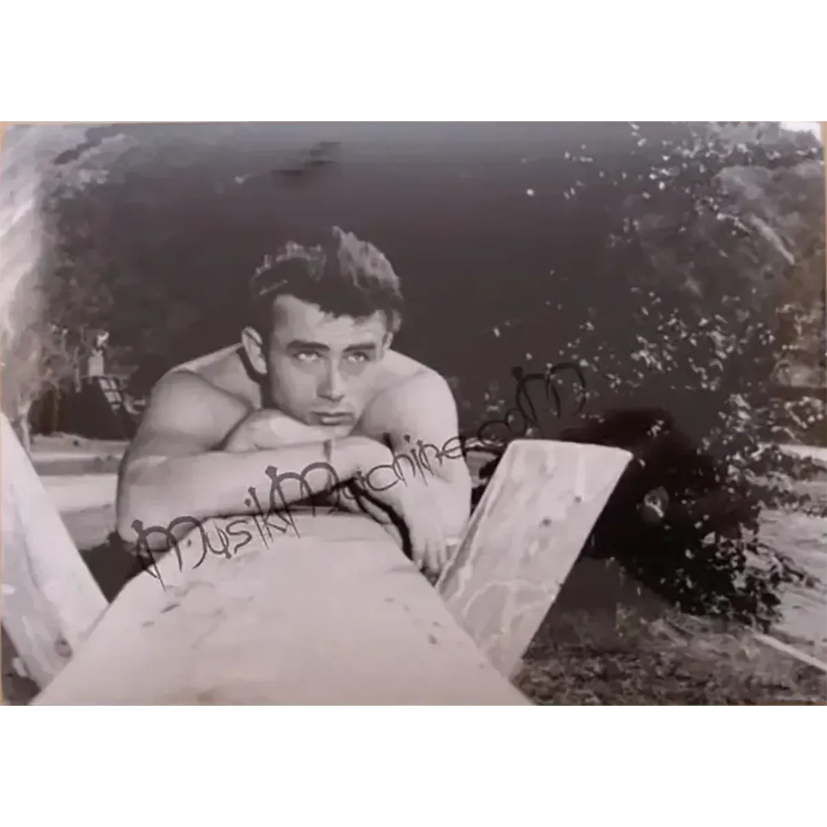 Photo James Dean - À l'Est d'Eden (10x15cm)