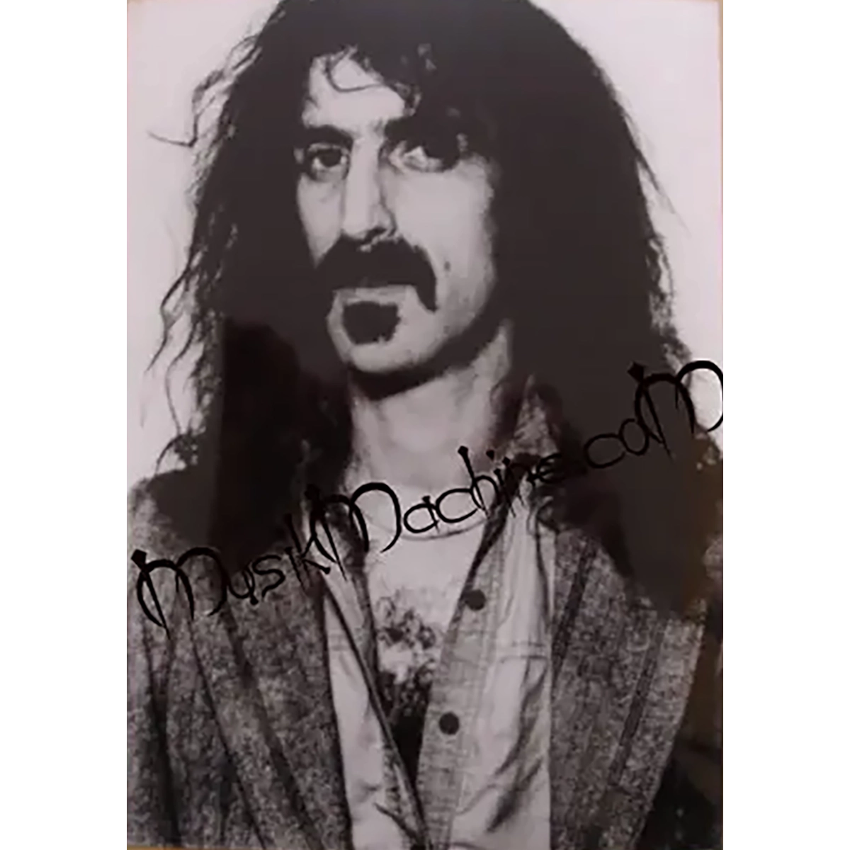 Photo Frank Zappa (10x15cm)