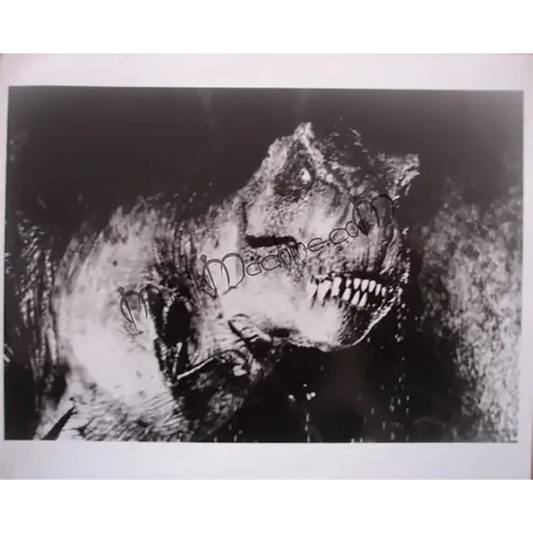Photo Jurrasic Park - T-Rex (20x25cm)