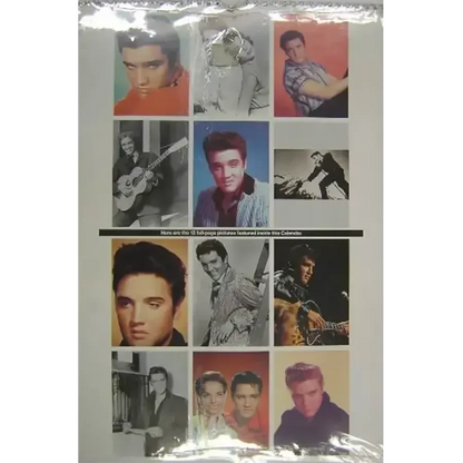 Vintage calendar Elvis Presley 1993 (dos)