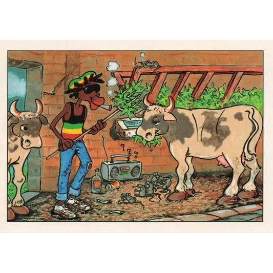 Carte postale Reggae - Jimmy