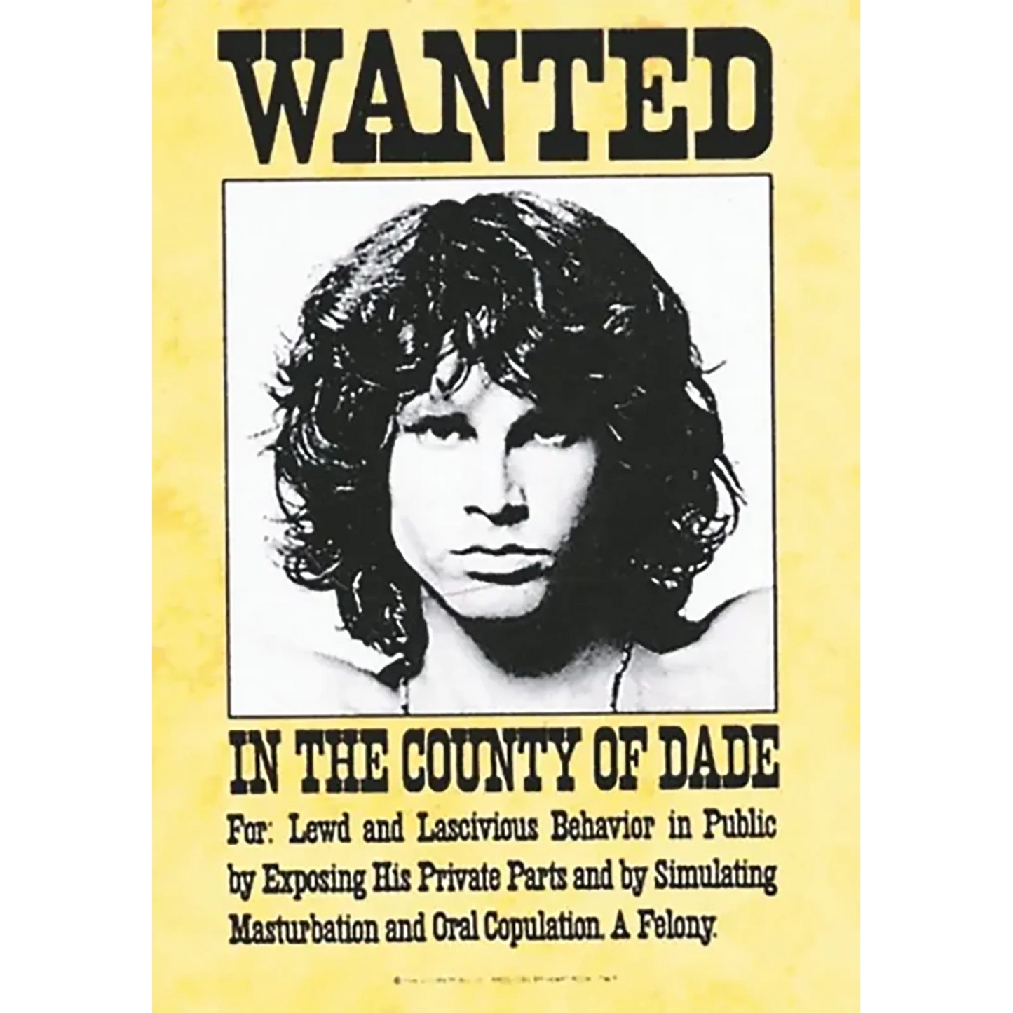 Flag Doors - Jim Morrison Wanted