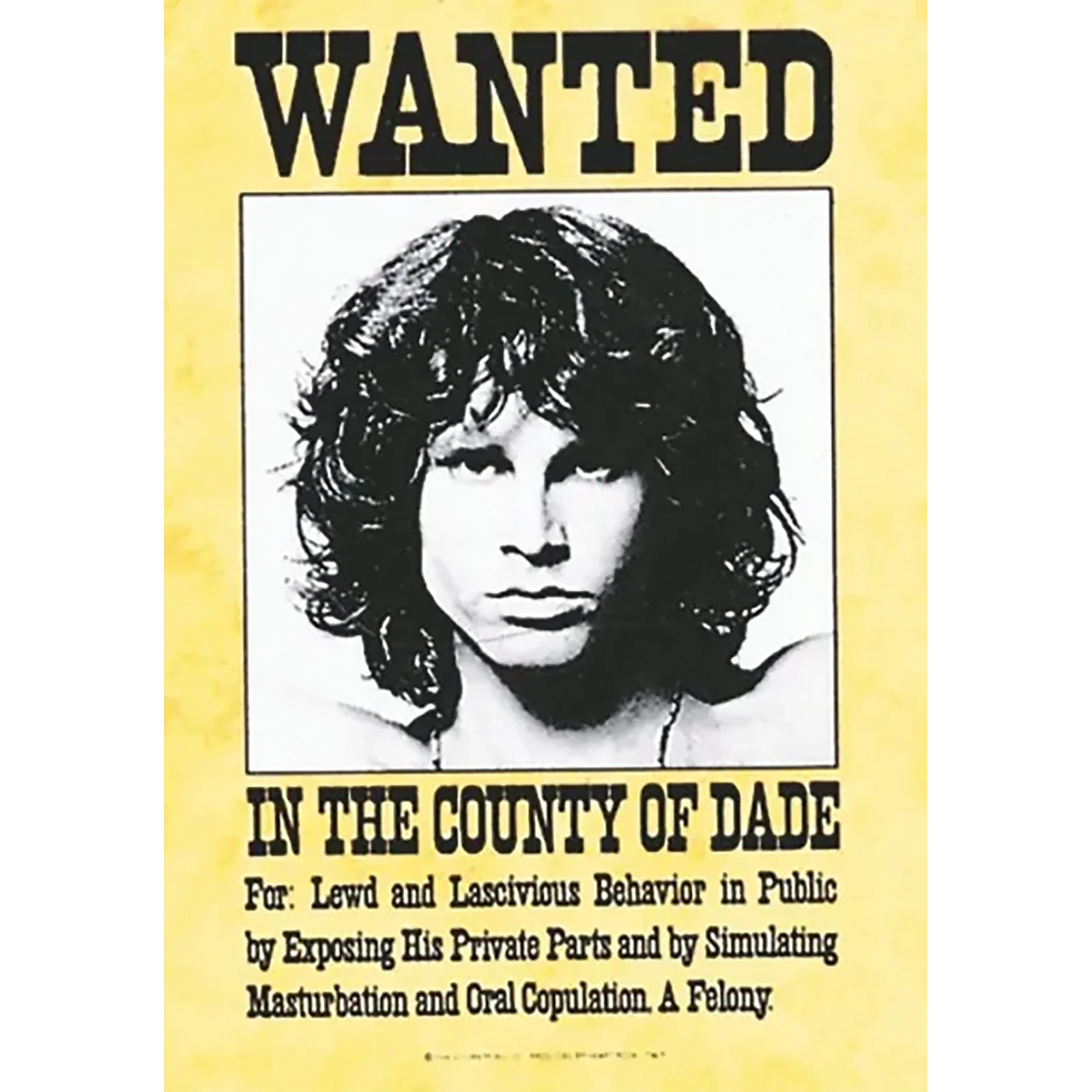 Flag Doors - Jim Morrison Wanted