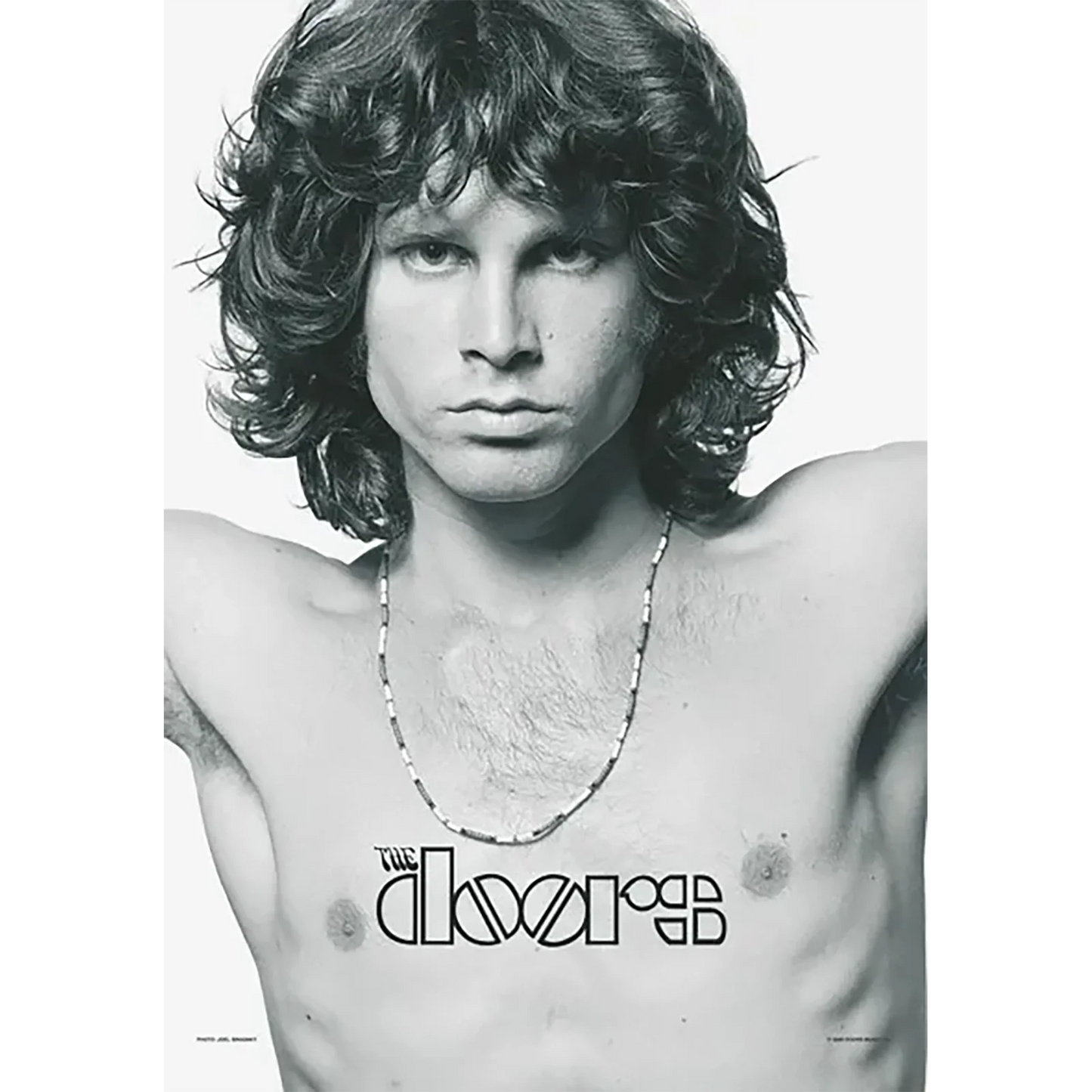 Flag Doors - Jim Morrison American Poet
