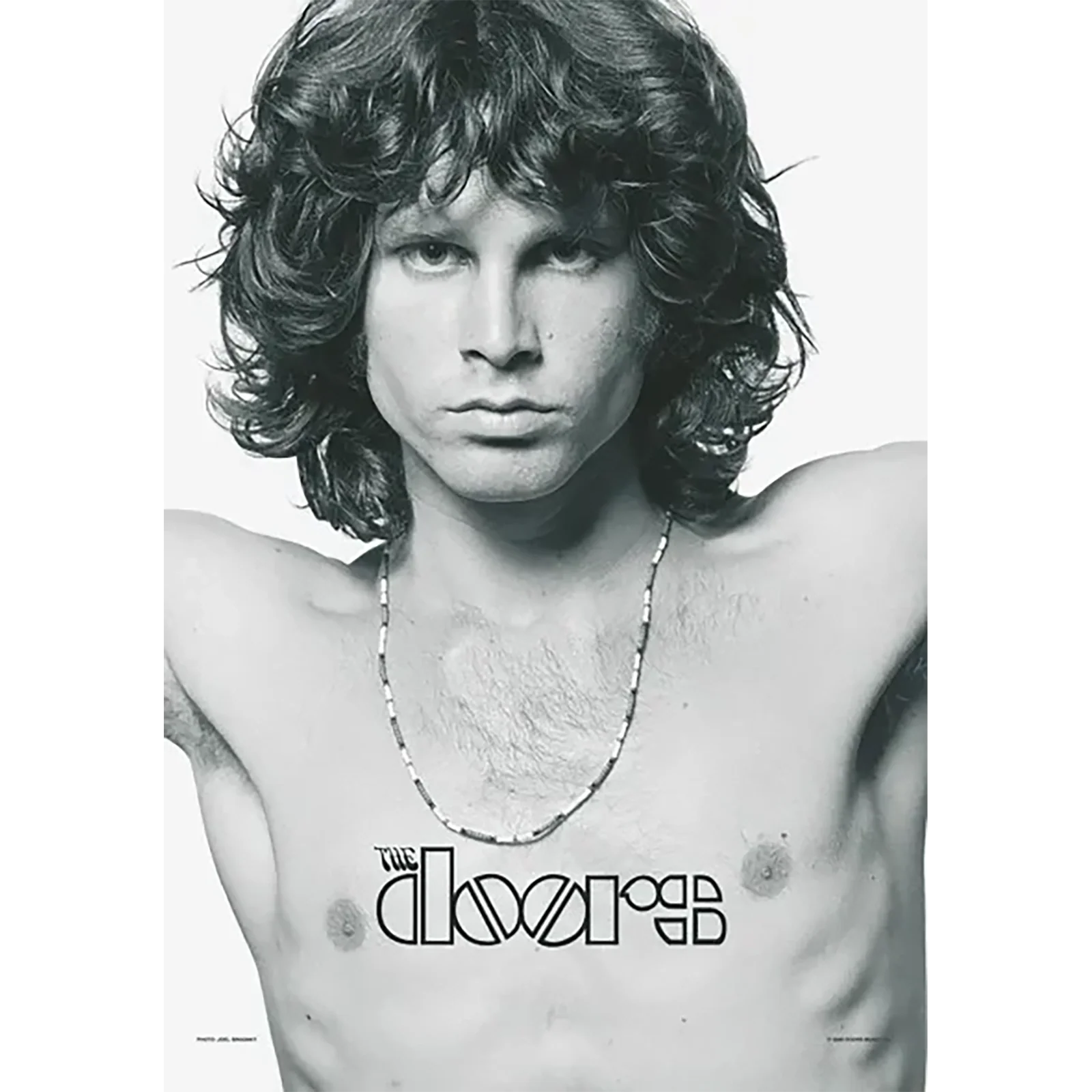 Flag Doors - Jim Morrison American Poet