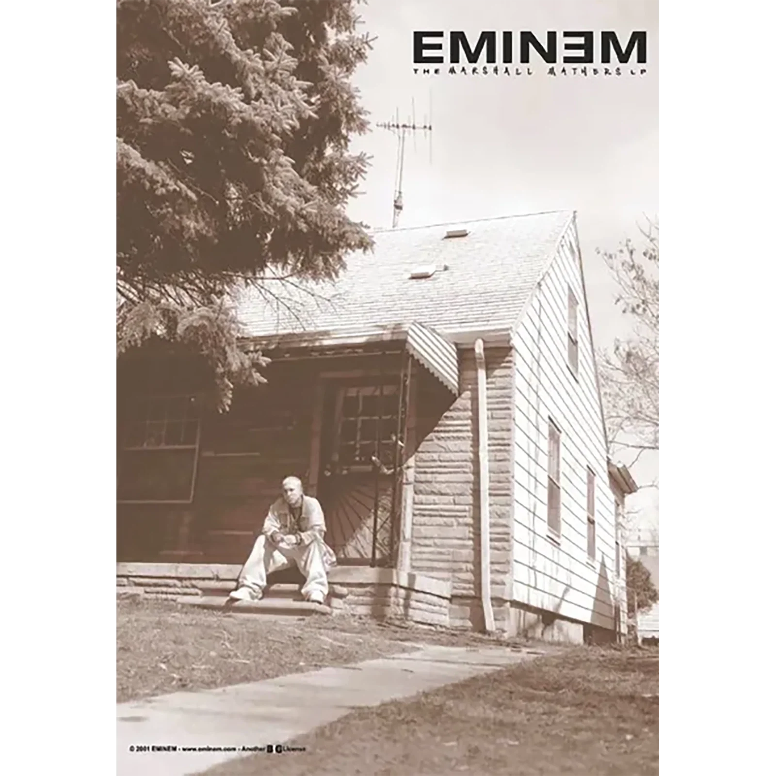 Flag Eminem - The Marshall Mathers
