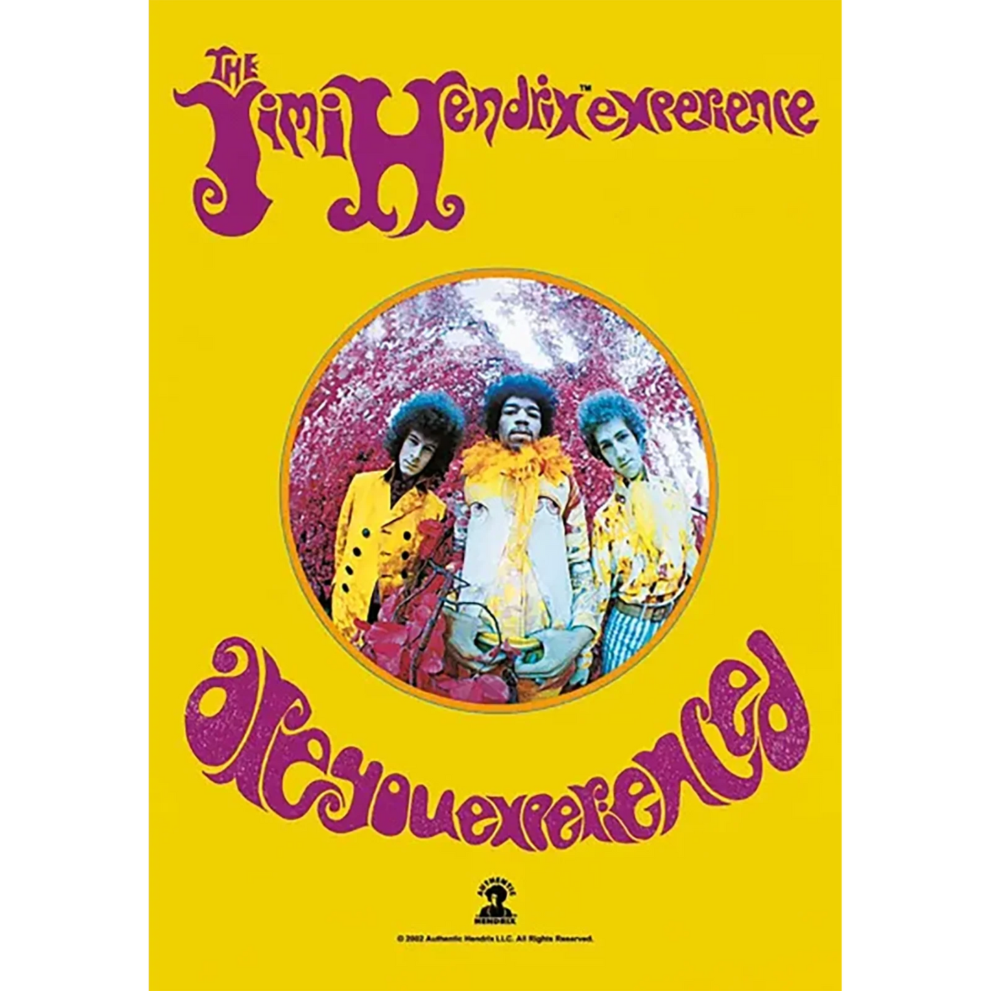 Drapeau Jimi Hendrix Experience - Are you experienced