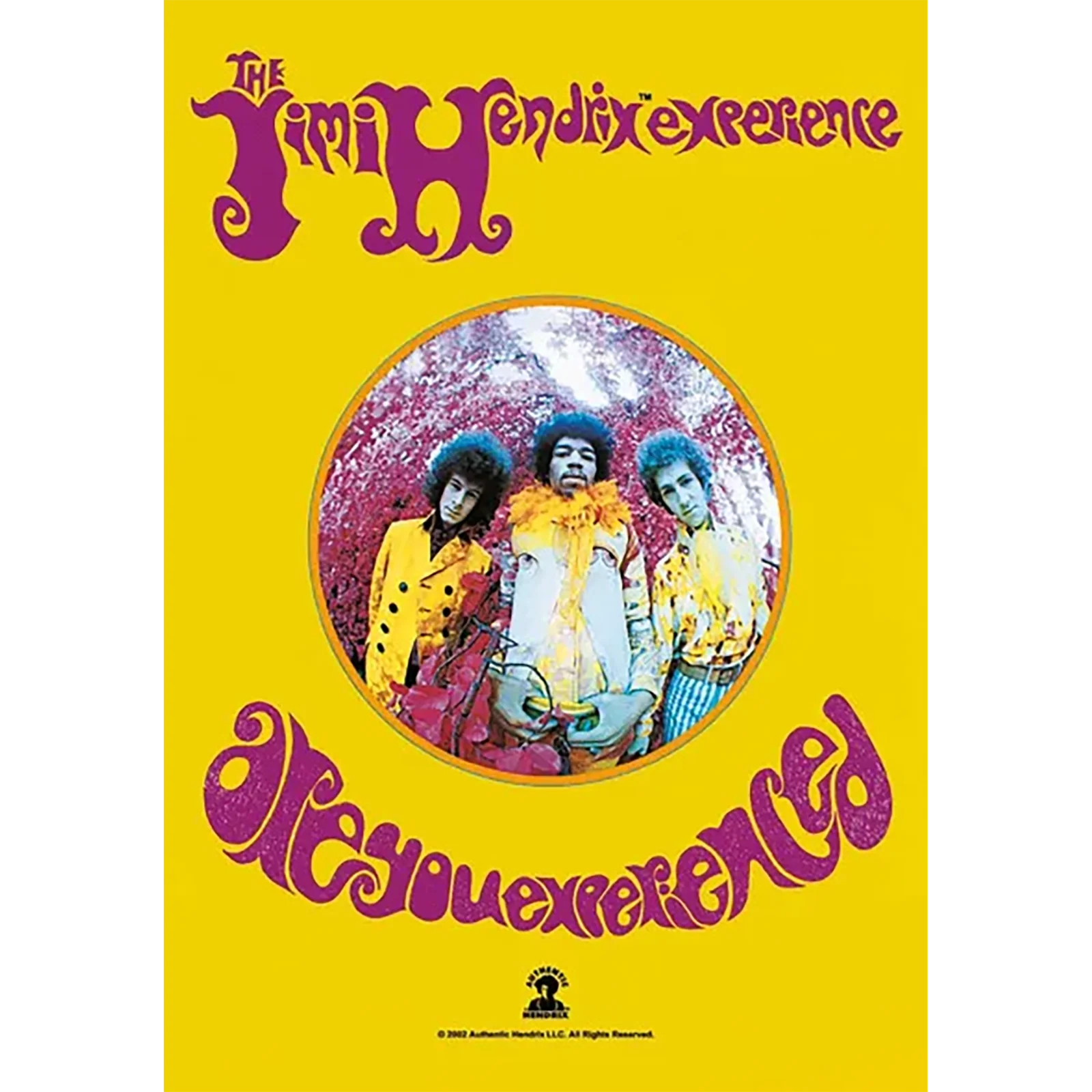 Drapeau Jimi Hendrix Experience - Are you experienced