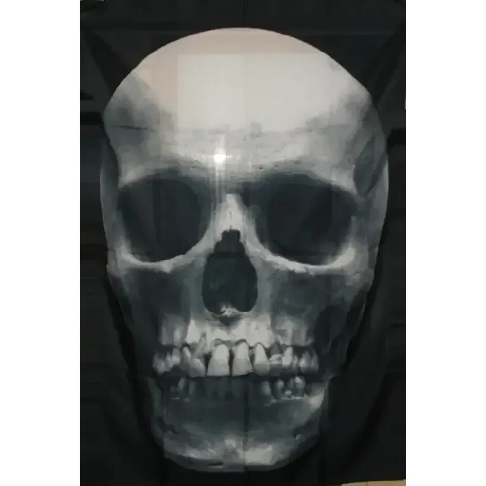 Drapeau Skull