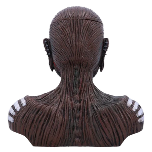 Boîte décorative Iron Maiden – Buste Eddie Book of Souls - vue 3