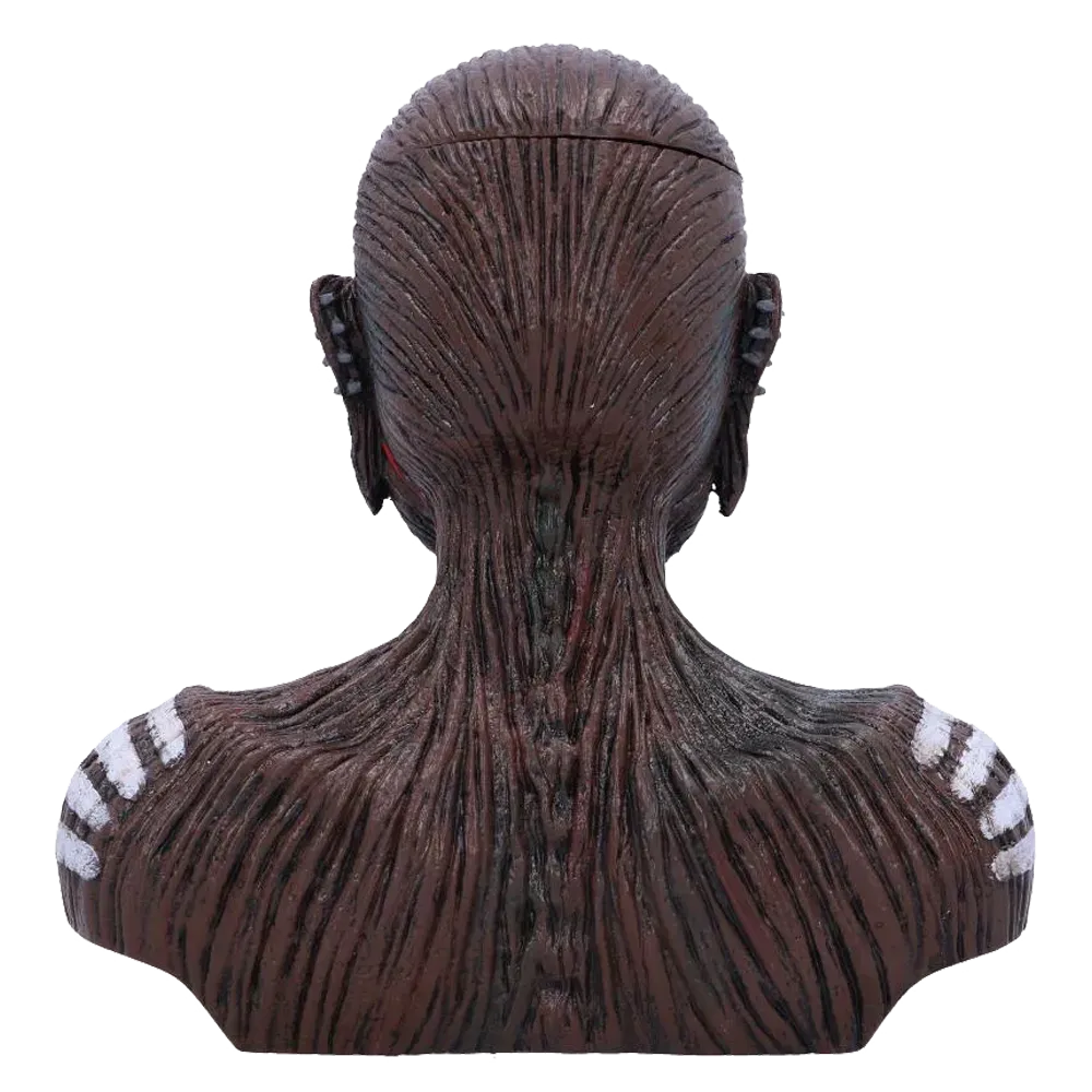 Eddie The Book of Souls – Vue arrière