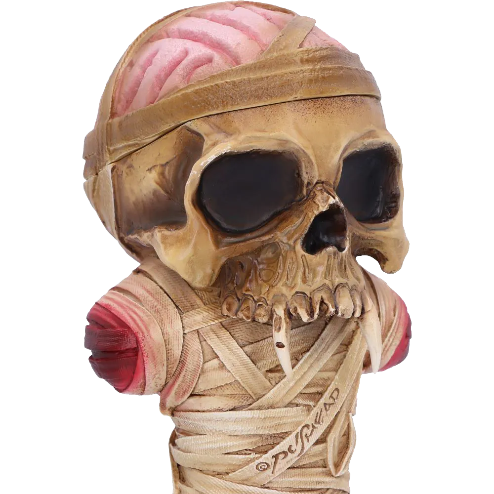 Détail du crâne et du bandage de la boîte Metallica One