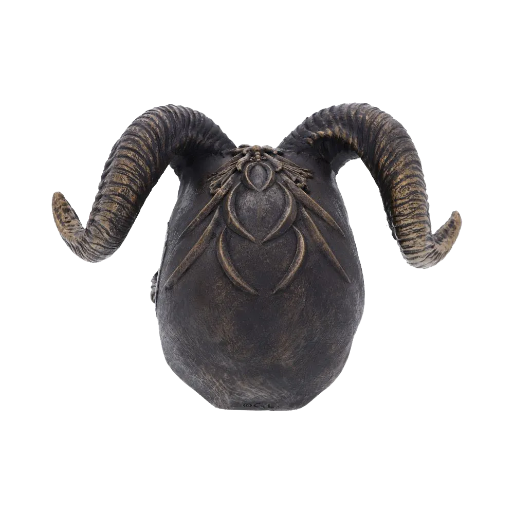 Vue arrière montrant les cornes torsadées du crâne Diabolus