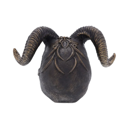 Vue arrière montrant les cornes torsadées du crâne Diabolus