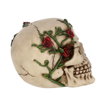 Crâne Nemesis Now “Rose From Beyond” – profil droit avec détails de texture et teinte os vieilli