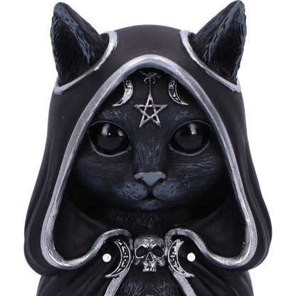 Gros plan sur le visage du chat Zefur avec pentagramme et symboles lunaires