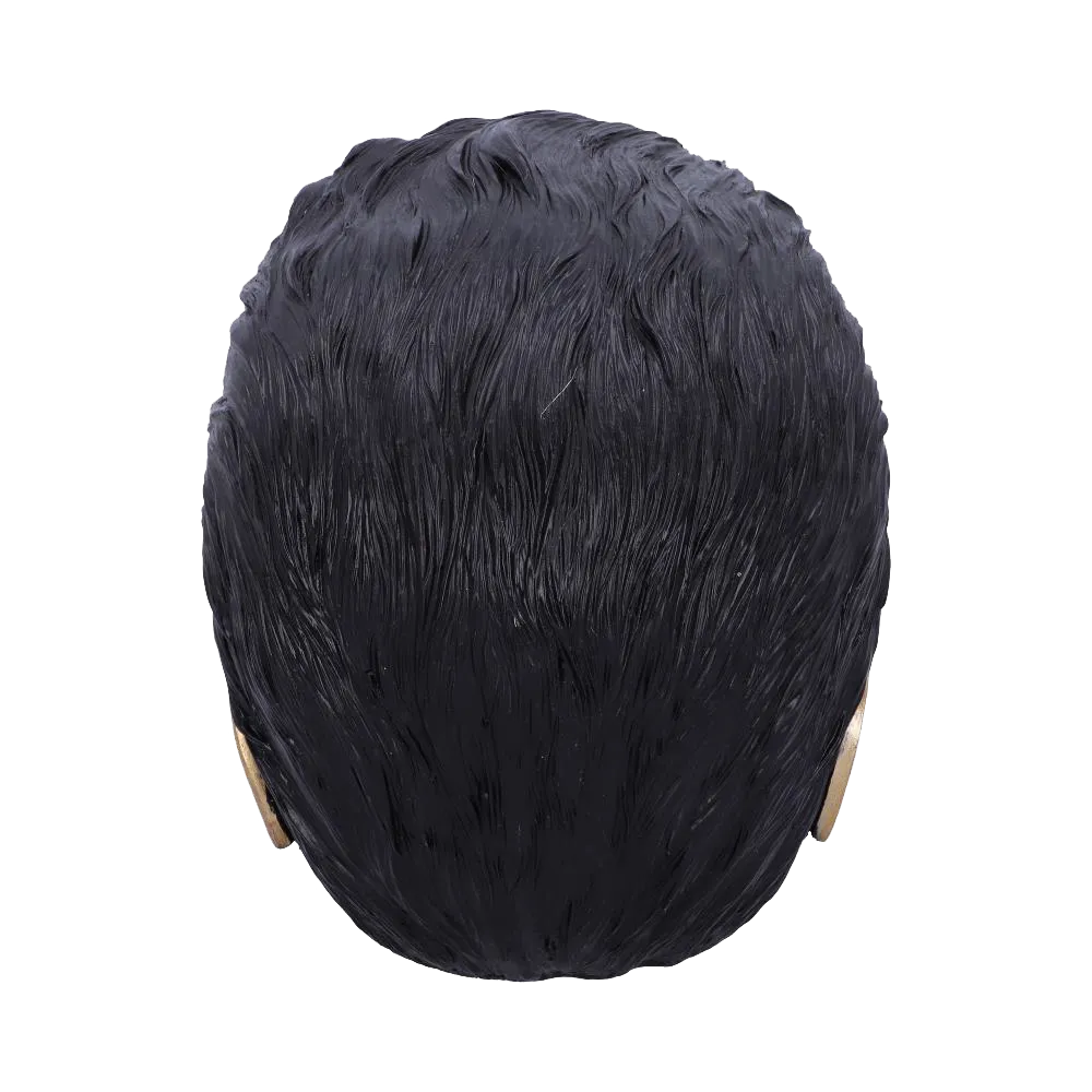 Vue arrière de la chevelure du crâne | Rear view of the scalp's hair