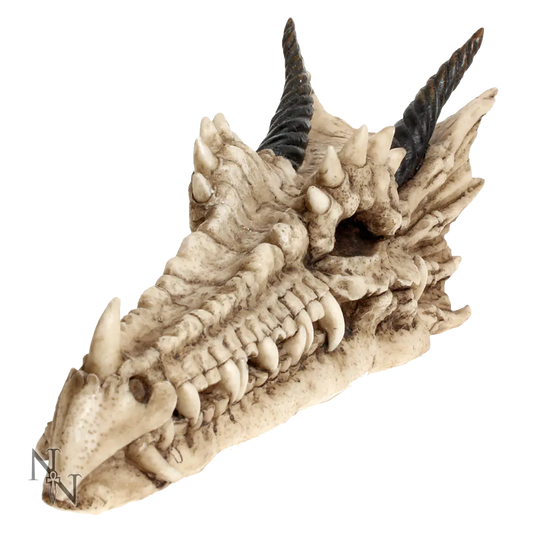 Crâne de dragon Draco Nemesis Now porte-encens en résine