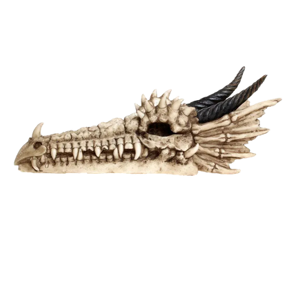 Profil gauche du crâne de dragon Draco en résine