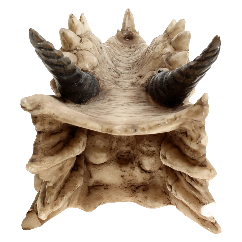 Détail des cornes spiralées du dragon Draco - vue arrière