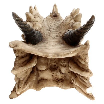 Détail des cornes spiralées du dragon Draco - vue arrière