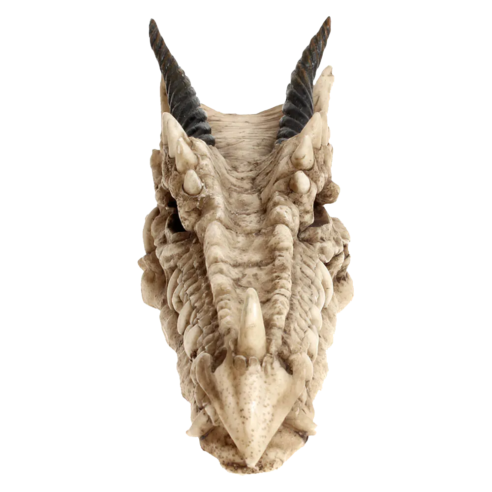 Vue frontale du crâne de dragon Draco Nemesis Now