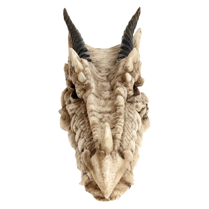 Vue frontale du crâne de dragon Draco Nemesis Now