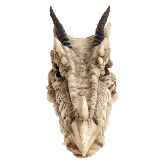 Vue frontale du crâne de dragon Draco Nemesis Now