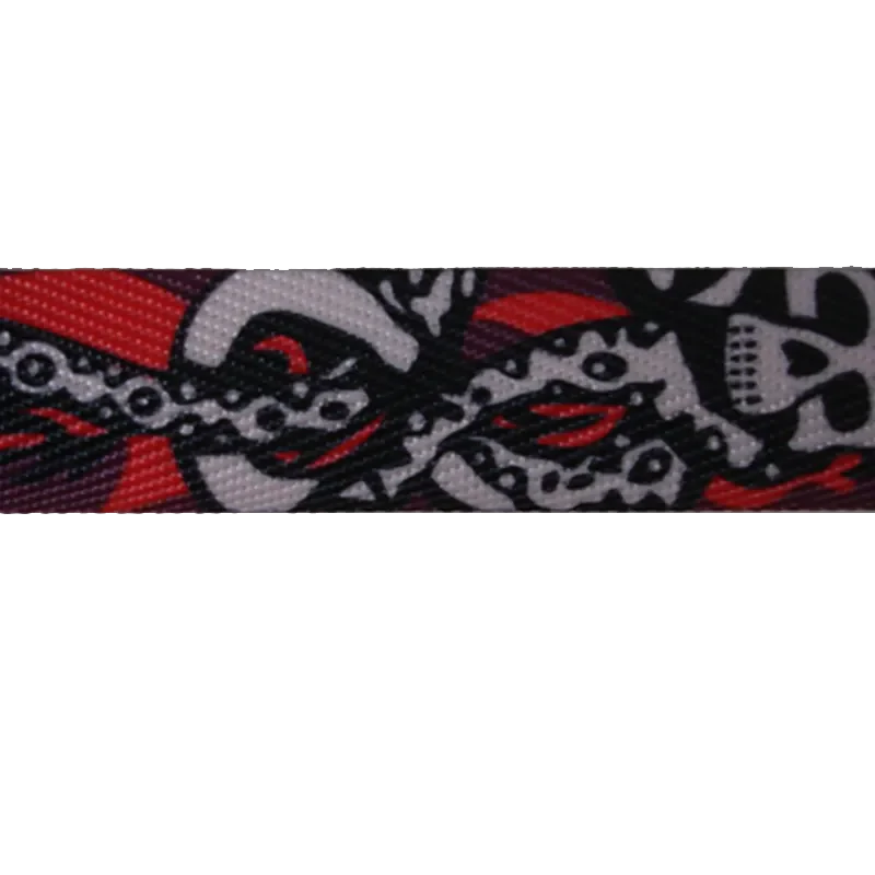 Lacets Skull (gros plan)