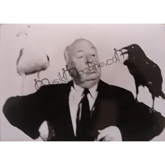 Photo Alfred Hitchcock [Les Oiseaux] (10x15cm)