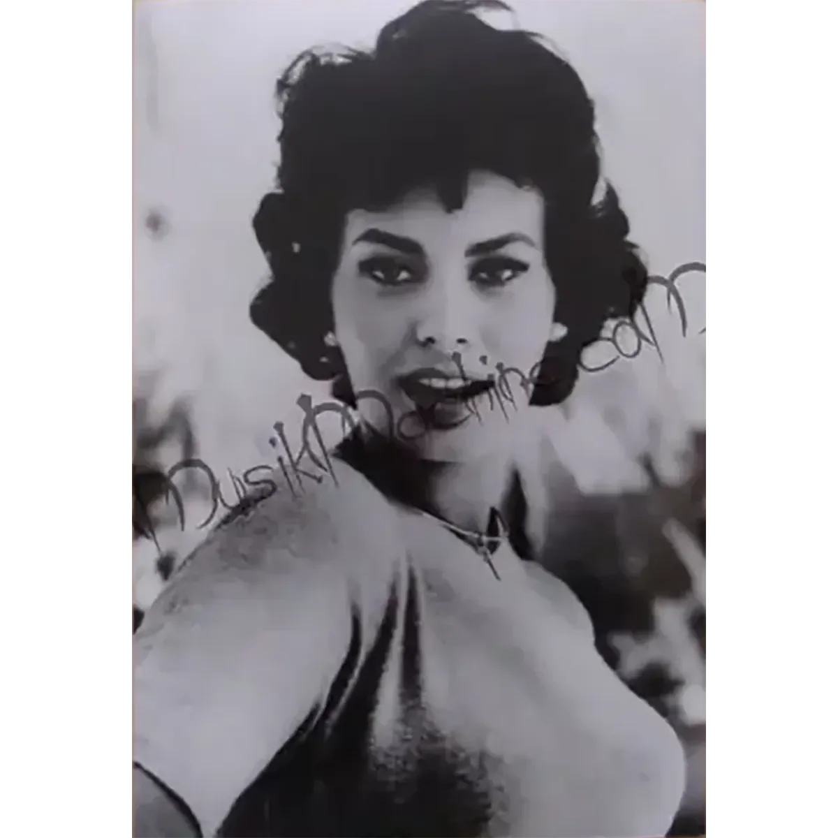 Photo Sophia Loren (10x15cm)
