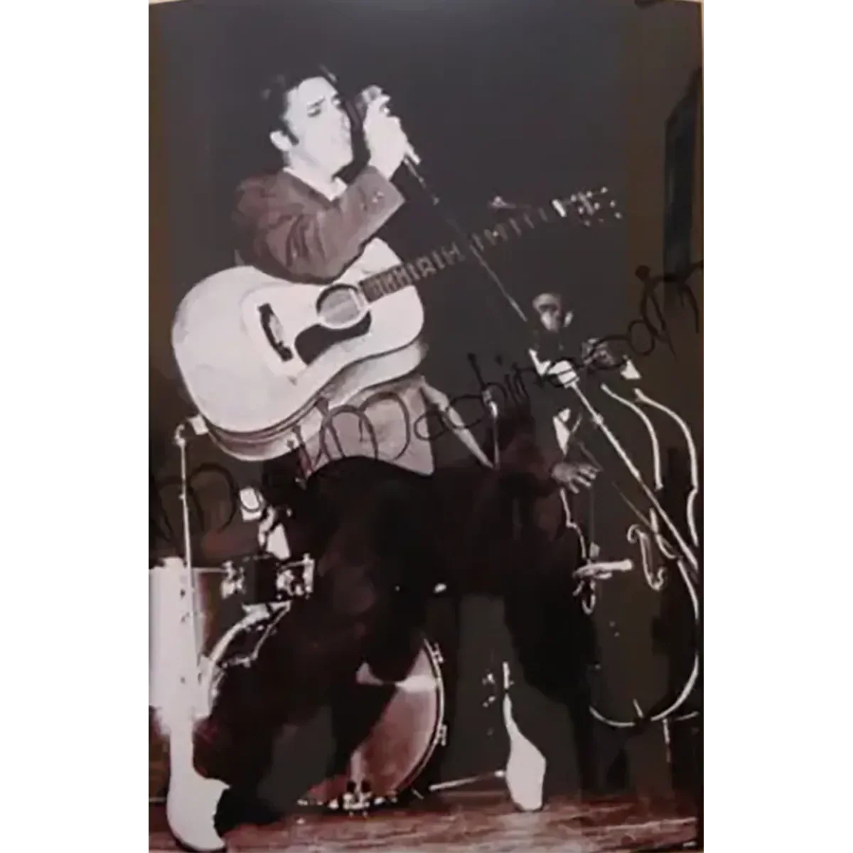 Photo Elvis Presley (10x15cm)