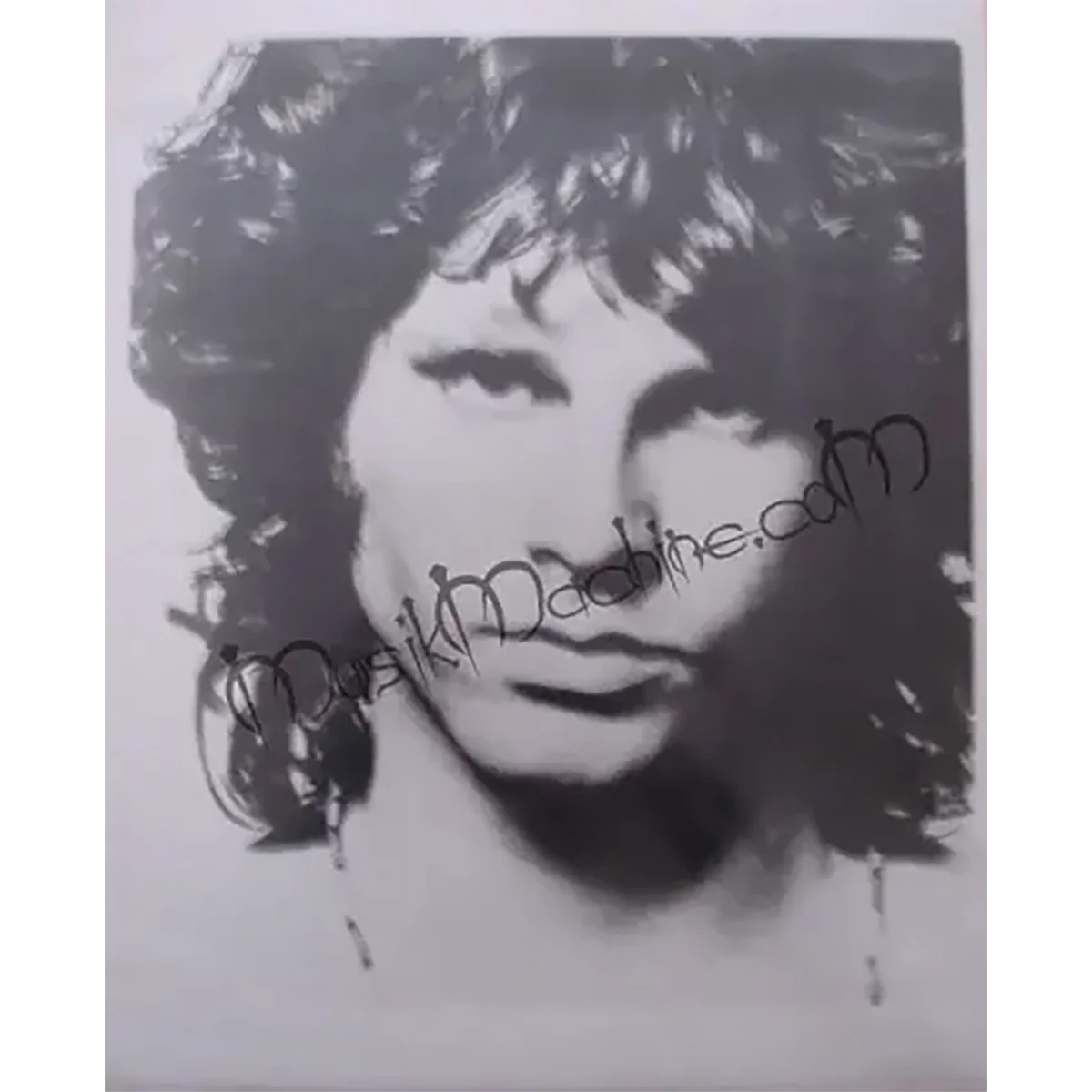 Photo Doors - Jim Morrison [Young Lion] (20x25cm)