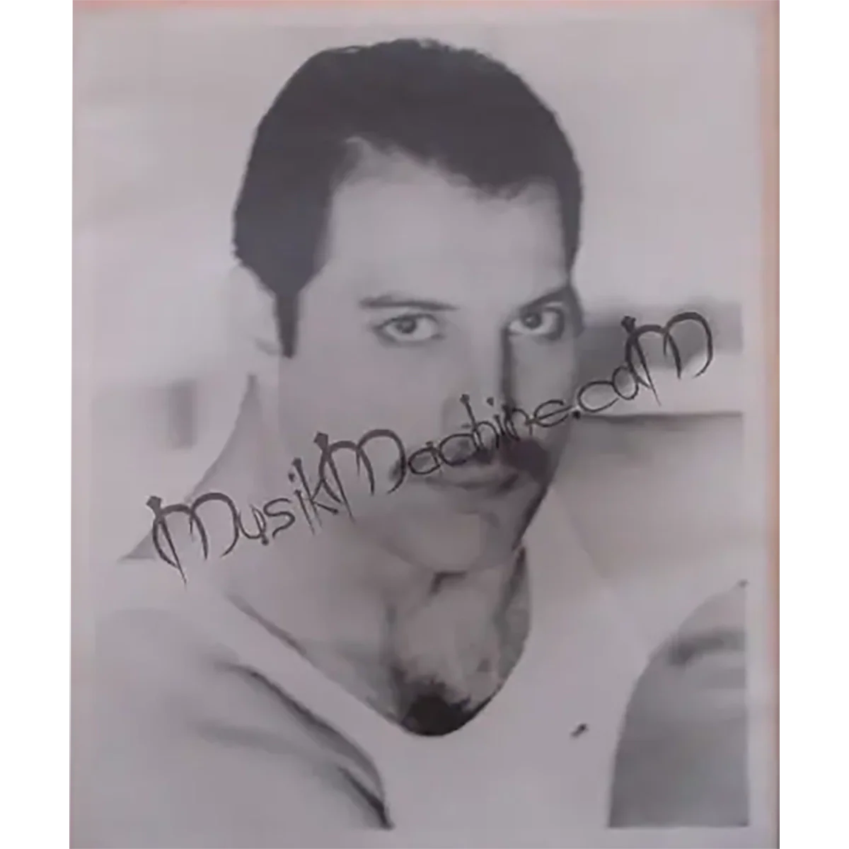 Photo Queen - Freddie Mercury (20x25cm)