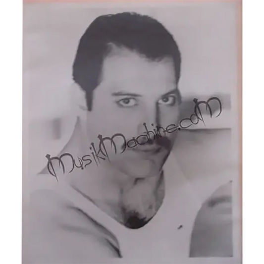 Photo Queen - Freddie Mercury (20x25cm)