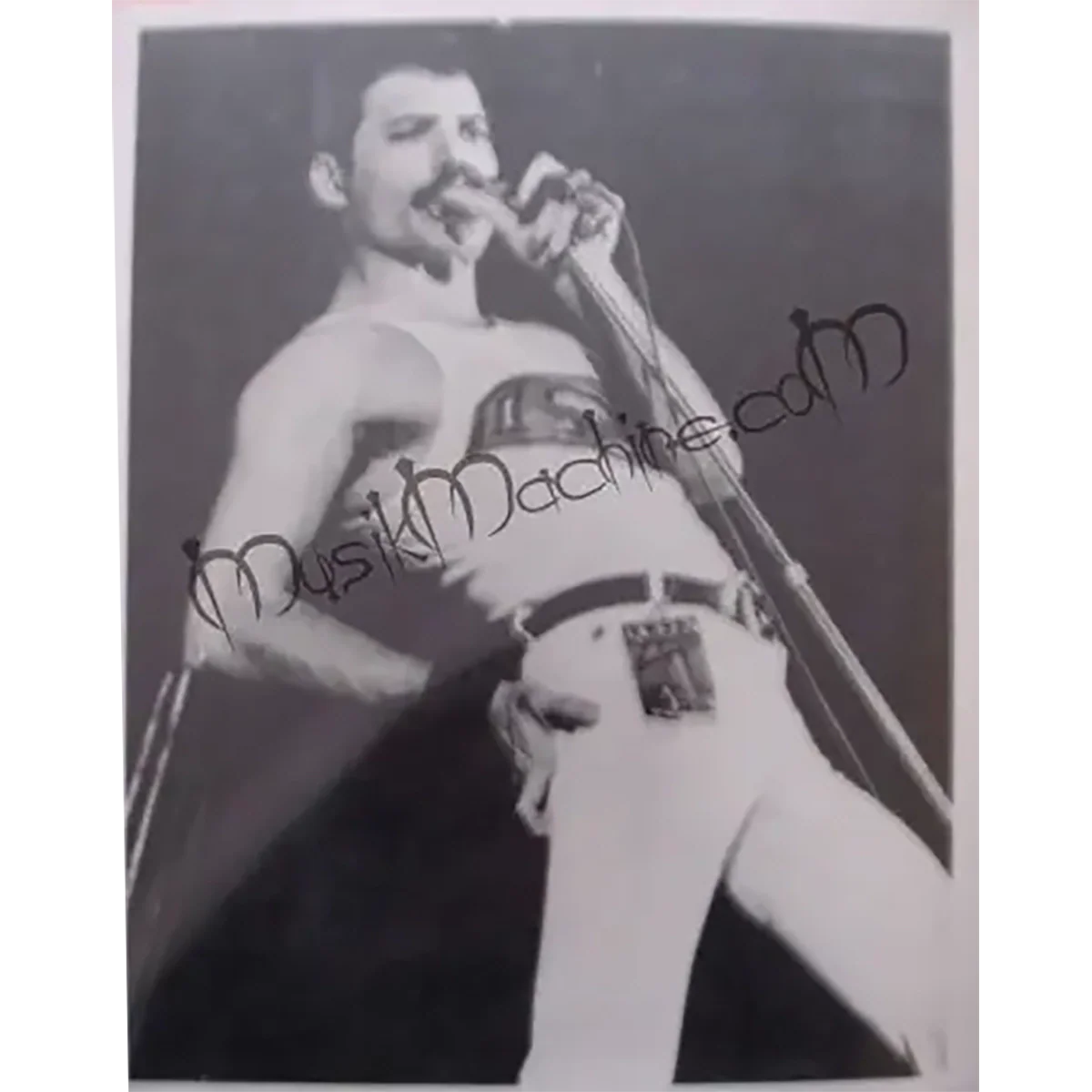 Photo Queen - Freddie Mercury Hot Space Tour (20x25cm)
