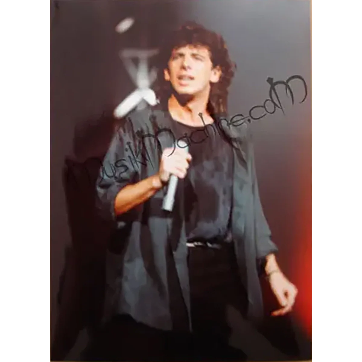 Photo Patrick Bruel (30x40cm)